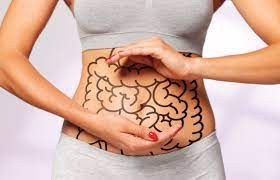 Gut Health & Immunity – What’s the Connection?